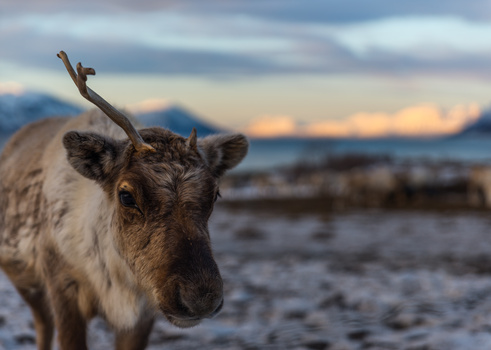 View Untitled 1 by Matas Vaisnoras