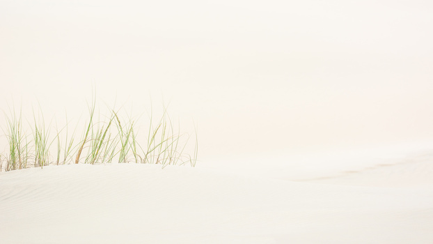 Image "Subtle Dunes" by Rodrigo Malutta