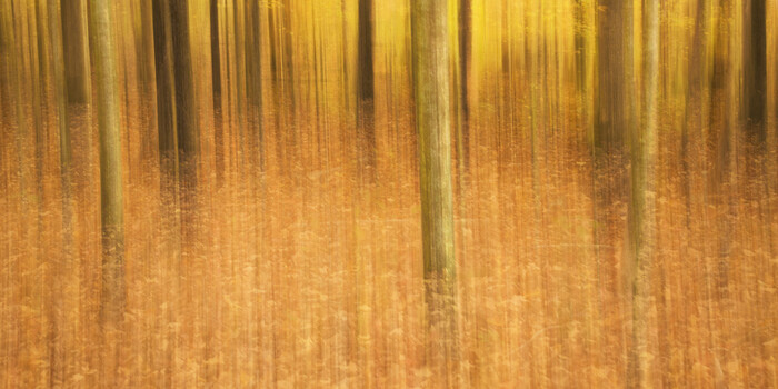 View Untitled 92 by Thomas Herbst