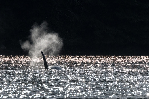 View Untitled 1 by Pravius Dimen