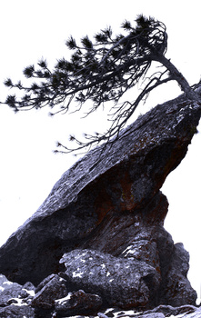 View Slanted scape by Paddy Hackett