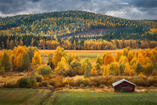Image "Autumn" by Teresa Rautio