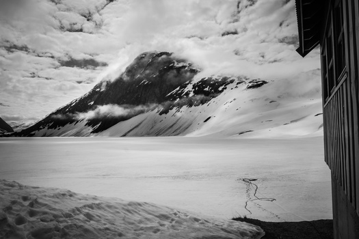 View Untitled 1 by Nina Müller