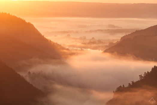 View Untitled 1 by Michael Wolf