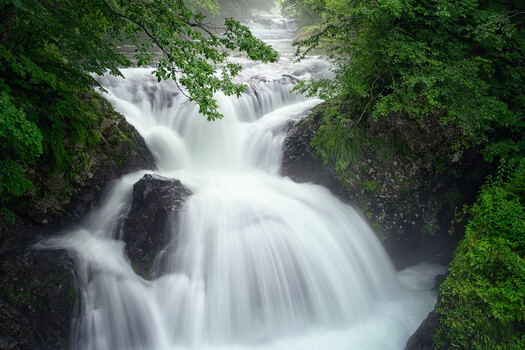 Image "The Roar of the Waterfall" by yuusei nagahata