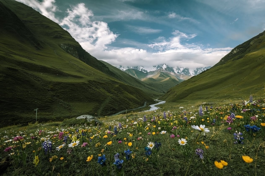 Image "Alpine Spring" by Bartek M. Wojtkunski