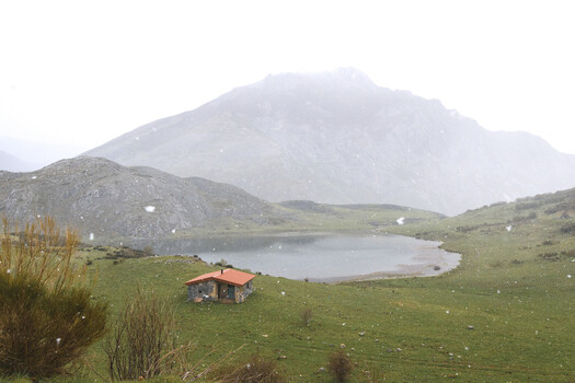 Image "Snowfall, Leon" by Bartek M. Wojtkunski