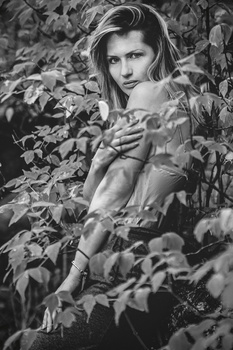 Image "ASIA" by daniel frys
