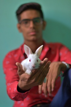 Image "Bunny in my handy" by Arvind Kumar