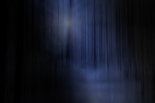 Image "Should You Take This Path!" by Ruth Carll