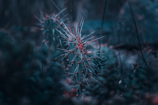 Image "Sharp" by Vishrut Patel