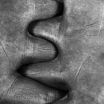 Image "Hands" by Eric Hiss