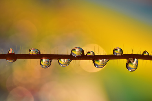 Image "But I want to be a triangle !!" by Sandra McCabe