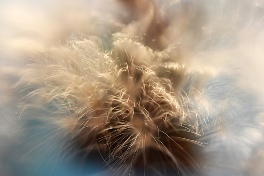 Image "A time of reckoning" by Sandra McCabe