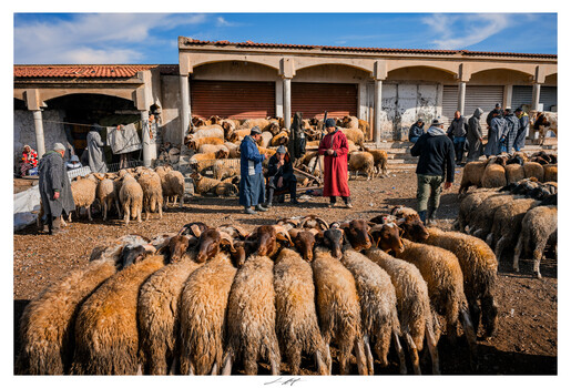 Image "Azrou, Maroc 2026" by Lionel HUG