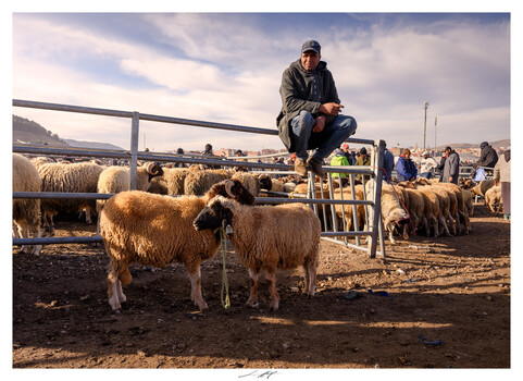 Image "Azrou, Maroc 2026" by Lionel HUG