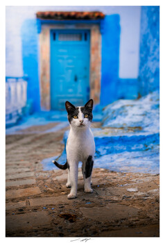 Image "Chefchaouen, Maroc 2026" by Lionel HUG