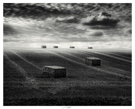 Image "Ils gardent en leur cœur la chaleur des jours passés, Vendée, France 2026" by Lionel HUG