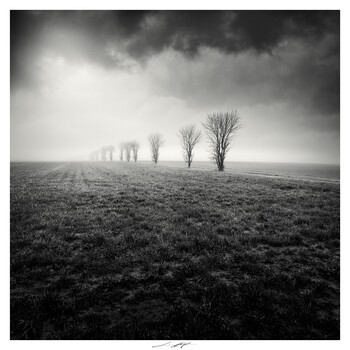 Image "Ces maigrichons qui se défont dans le lait froid de l'aube, Vendée, France 2025 " by Lionel HUG