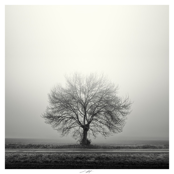 Confidences à la lumière, Vendée, France 2025 by Lionel HUG