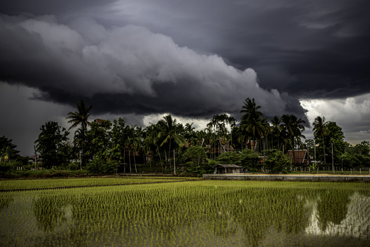 Image "the storm" by Stephen Scully