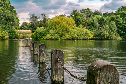 Image "One Park, One Day, Five Different Looks" by Abdulaziz AlMutawa