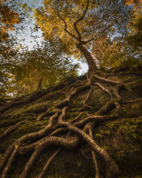 View Untitled 5 by Daniel Frost