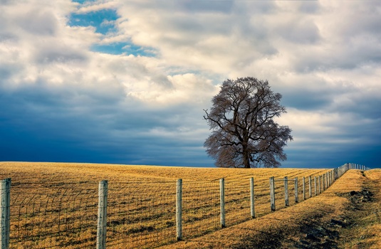 Image "Bound Alone" by Devesh Tripathi