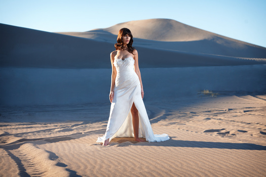 Image "Desert Bridal Fashion" by Dan Howell