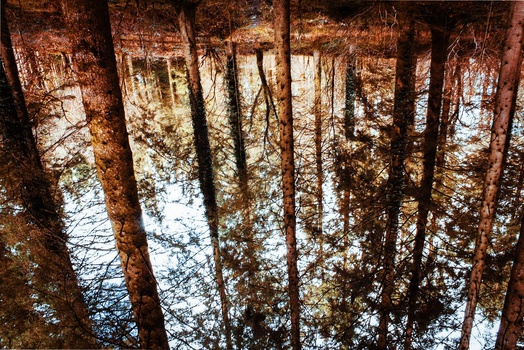 View Untitled 11 by Ben Delves