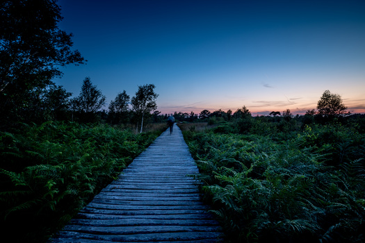 Image "Not what i was going for, but still like it" by Nick van de Water