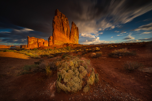 RYSZARD LOMNICKI'den Adliye Kuleleri