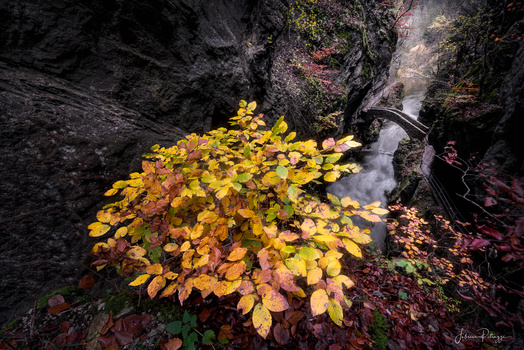 Image "The Road to Rivendell !" by Fabrice Petruzzi
