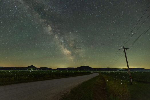 Image "Firefly Frenzy" by Michael Senn