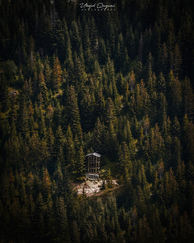 Image "Building in the middle of the woods" by Ubejd Qazimi