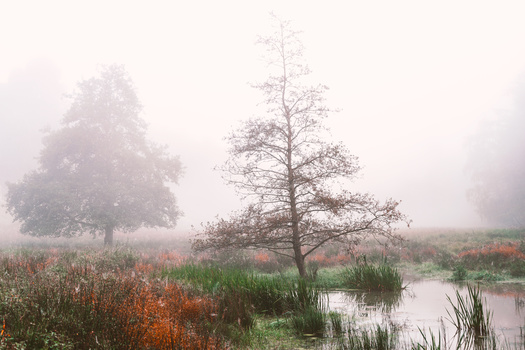 View Untitled 2 by August Boegh