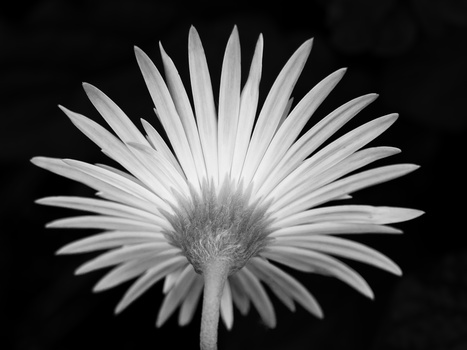 View Untitled 4 by Moises Fontana