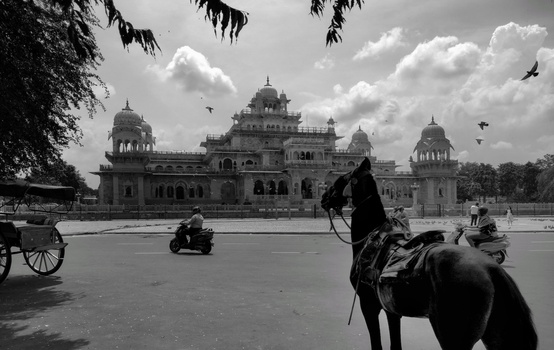 Image "Elegance" by shiladitya bhadra