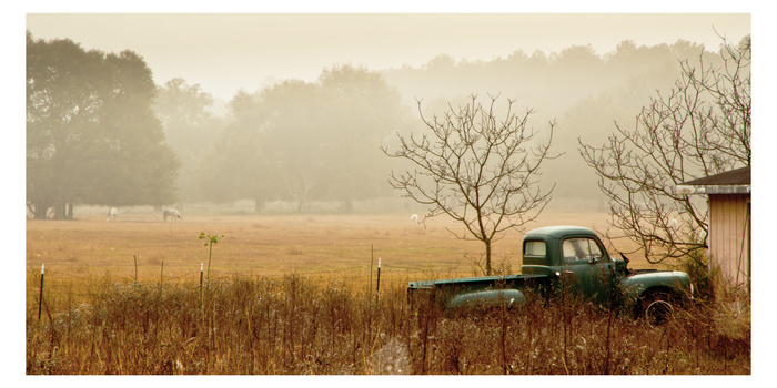 Image "Morning at the Horse Farm" by Walter Nickel
