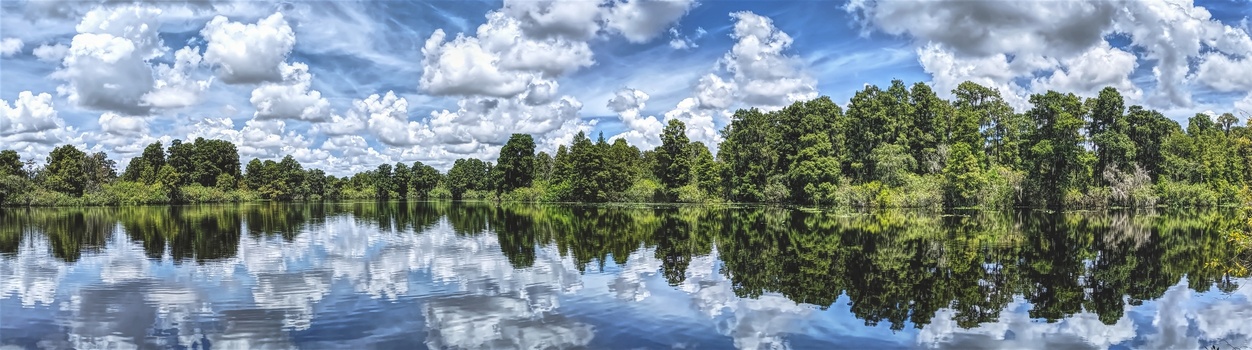 View Lettuce Lake panorama by Harry Hambrick