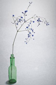 Image "Tabasco bottle and withered flowers" by ikururo ro