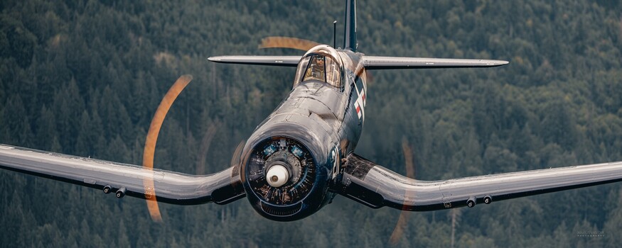 Image "Warbirds: F4U Corsair" by marius van dyk