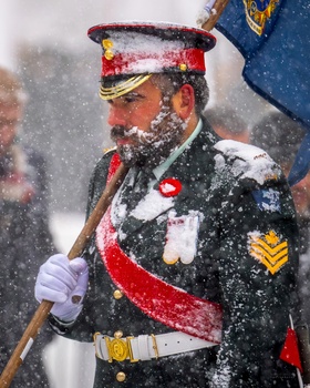 Image "Frozen - Remembrance Day" by marius van dyk