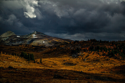 Image "Fall Squall, Banff AB" by Ken McCurdy