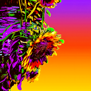 Image "SUN-GLOWER Sunflower Sunset" by Pamela Williams