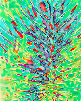Image "HEART OF THE PALM" by Pamela Williams
