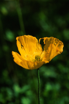 View Untitled 2 by Chris McLean