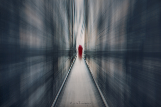 Image "Bridge" by Hamid Behnamfar