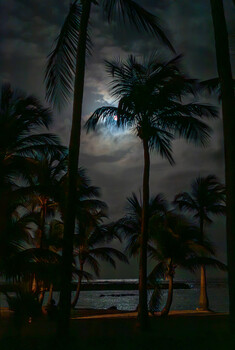 Image "Guadaloupe night" by Tibor Balogh