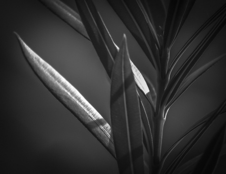 View Untitled 2 by Joe Glenn